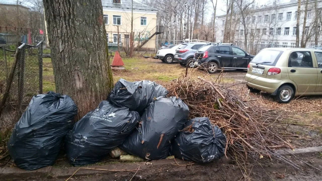 Вывоз мусора после субботника в Ленинске-Кузнецком от ПроМусор – уборка и утилизация отходов от 2402 руб