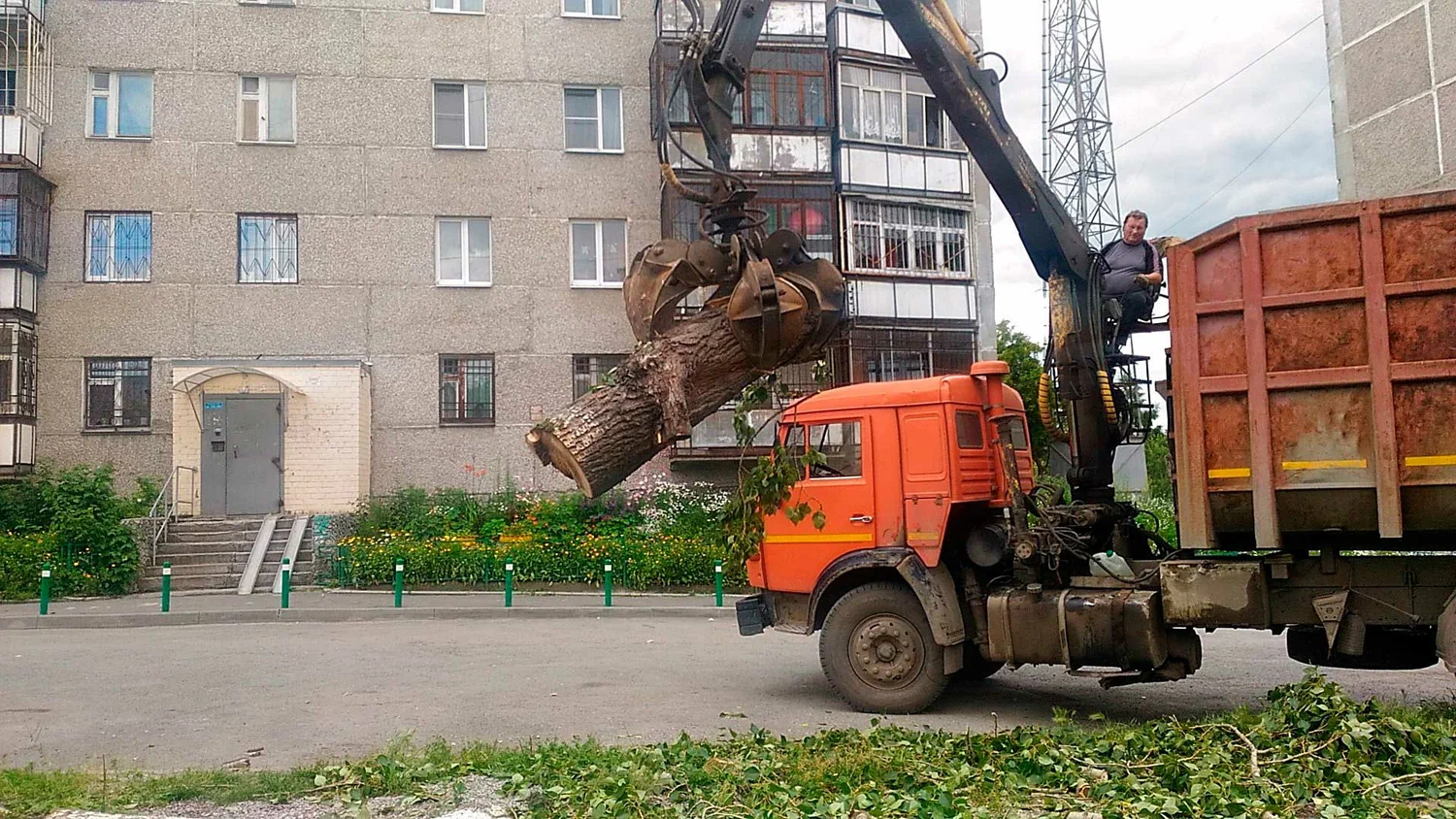 Вывоз спиленных веток и деревьев в Ленинске-Кузнецком от ПроМусор: порубочные остатки, утилизация, цена от 2964 руб