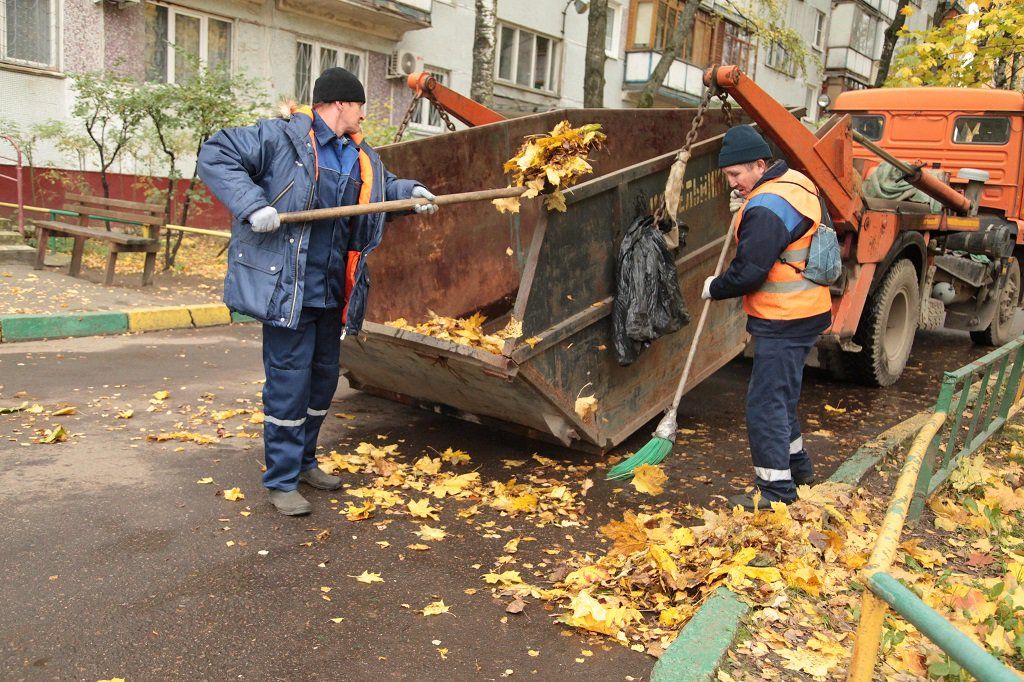 Вывоз опавшей листвы и растительного мусора в Ленинске-Кузнецком от ПроМусор – цена от 4599 руб., быстрая уборка и утилизация